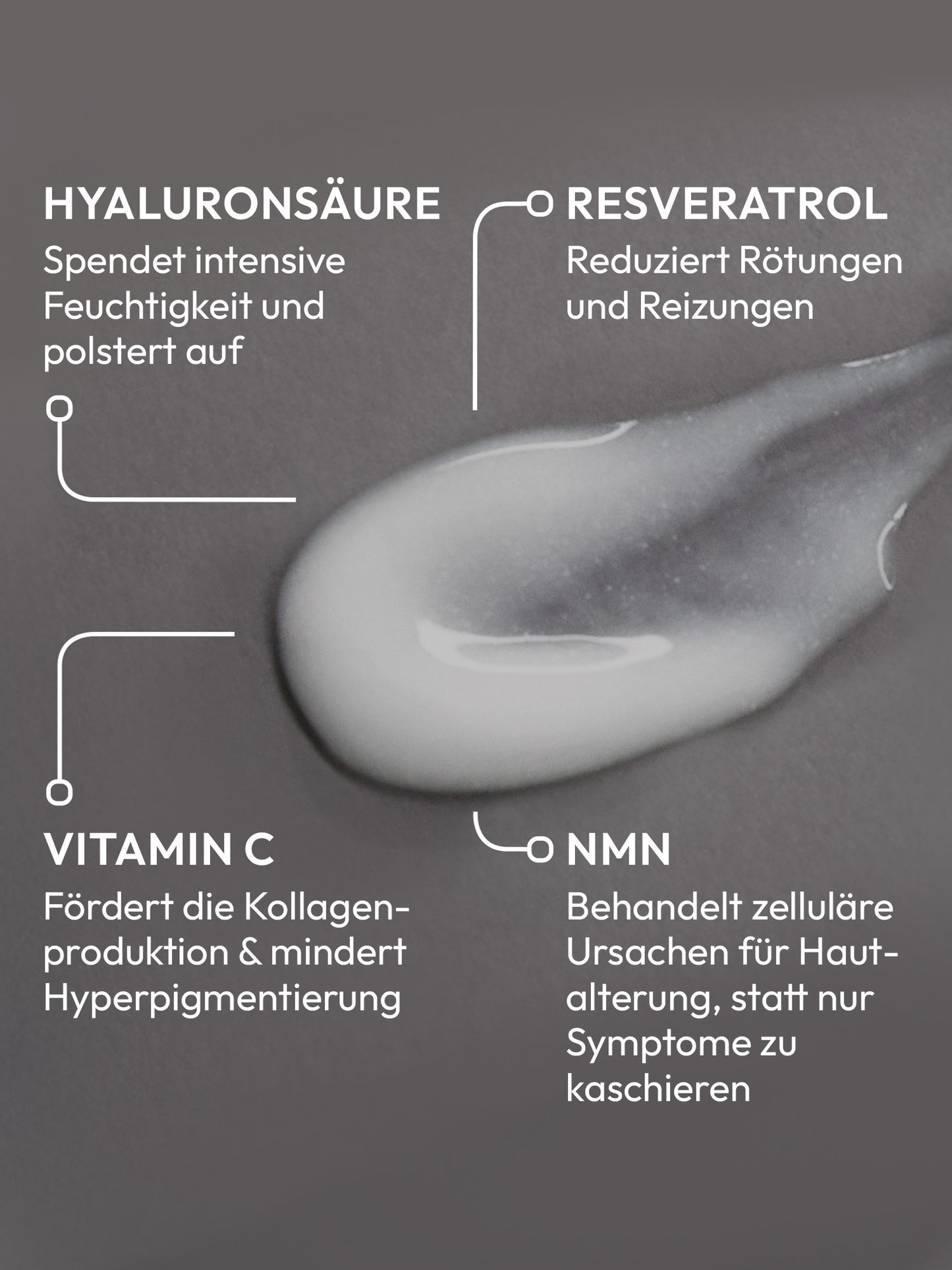 Transformative Cell Serum mit 5% NMN